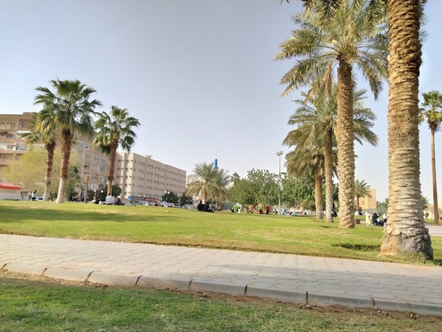 حديقة الفوطة