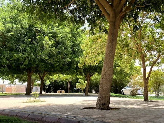 حديقة الهدا